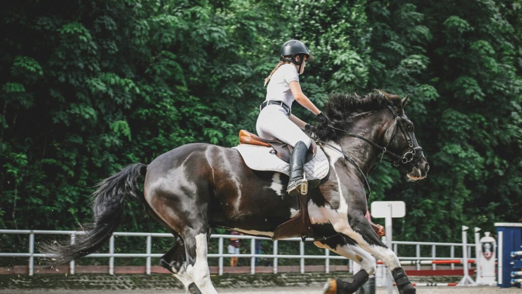 woman riding on horse near trees