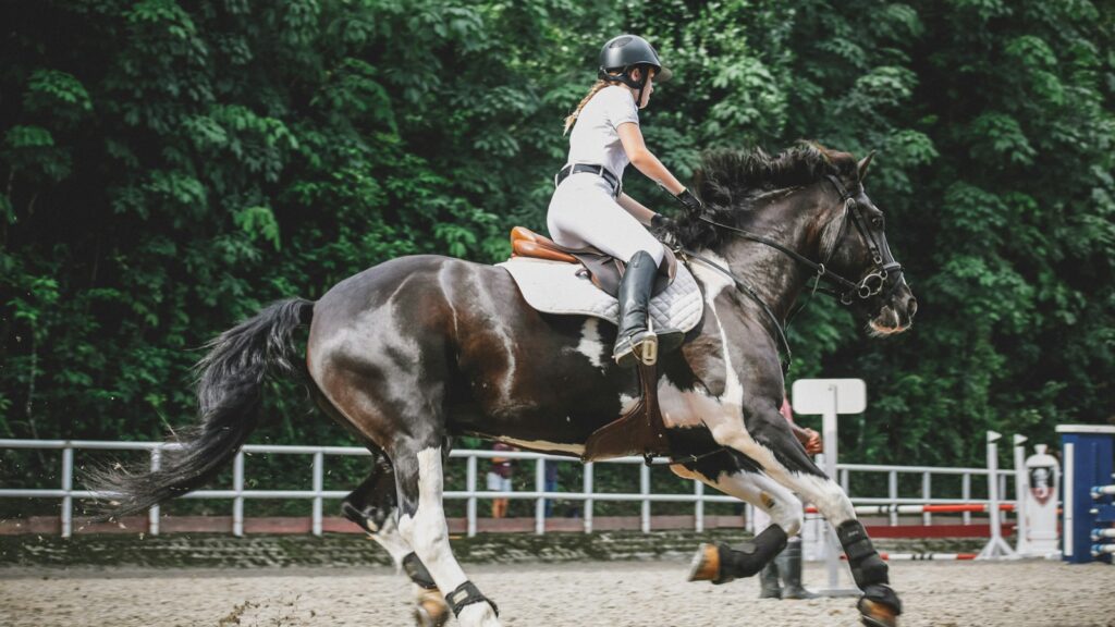 woman riding on horse near trees