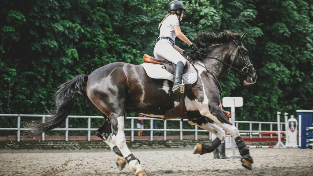woman riding on horse near trees