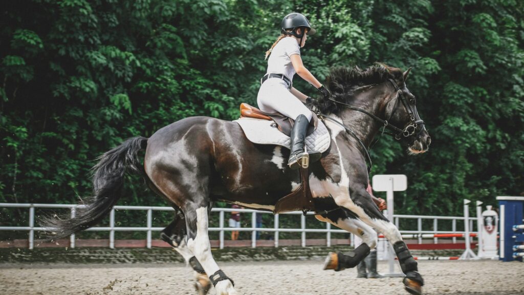 woman riding on horse near trees