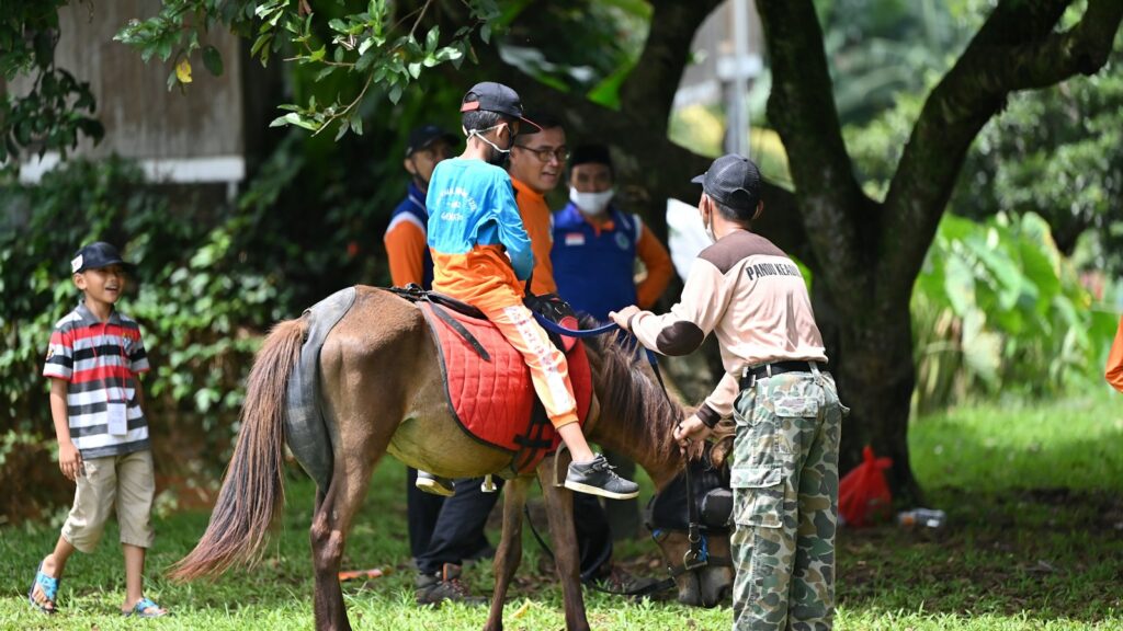 a group of people standing around a brown horse