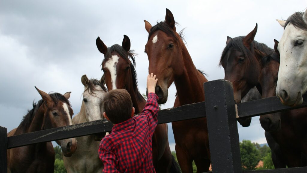 woman in red and white checkered dress shirt standing beside brown horse during daytime