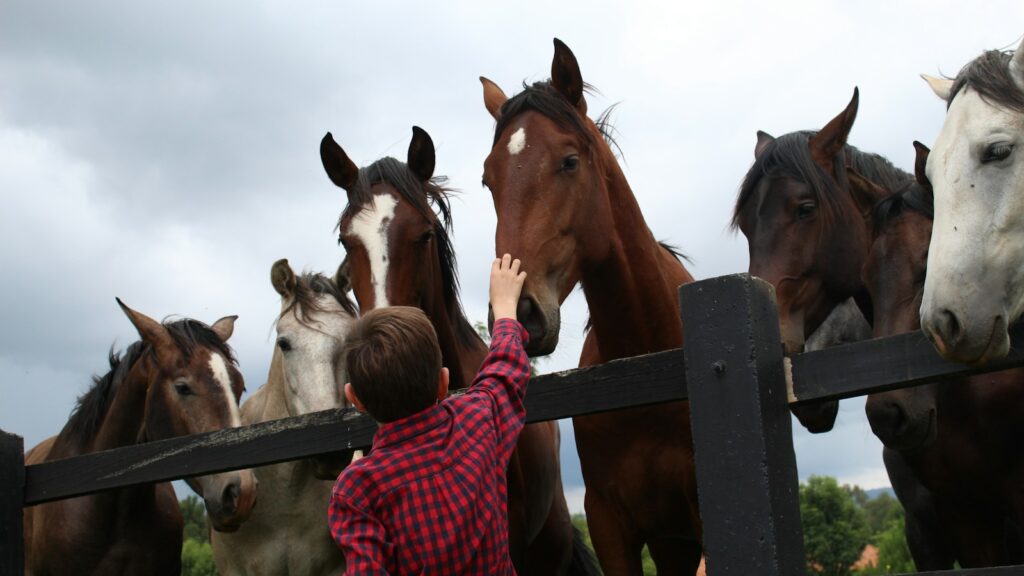 woman in red and white checkered dress shirt standing beside brown horse during daytime
