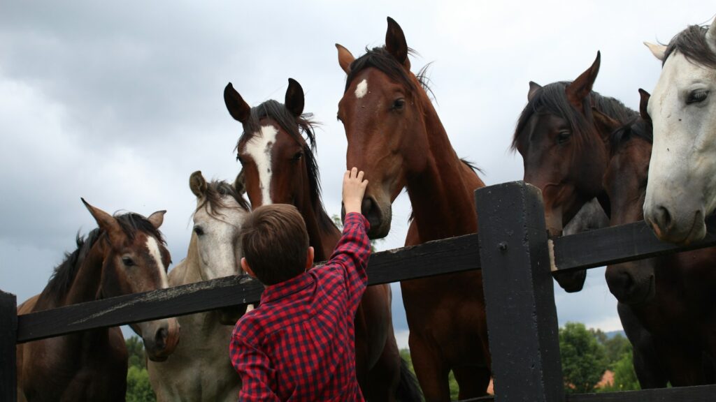 woman in red and white checkered dress shirt standing beside brown horse during daytime