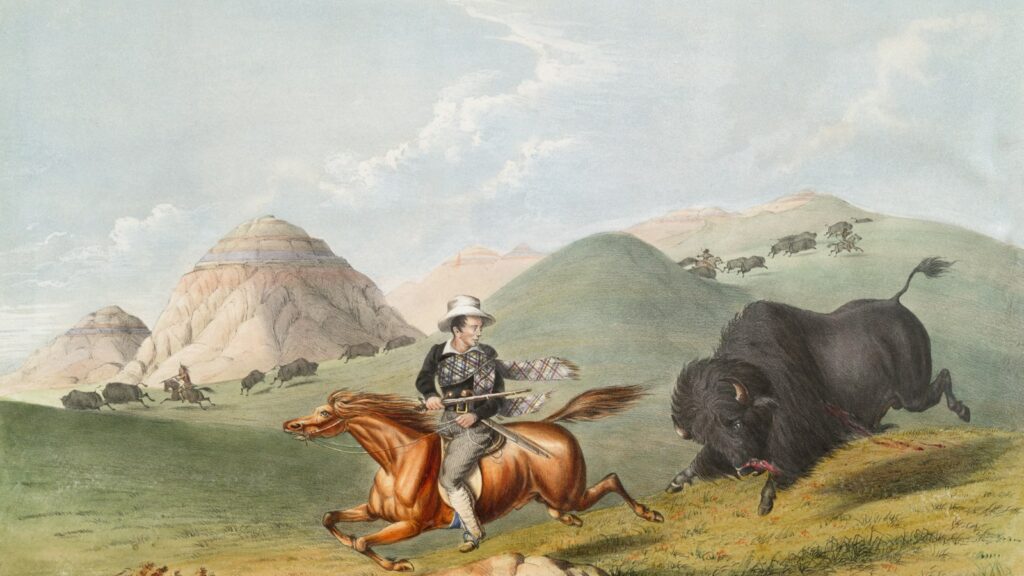 horse hunting