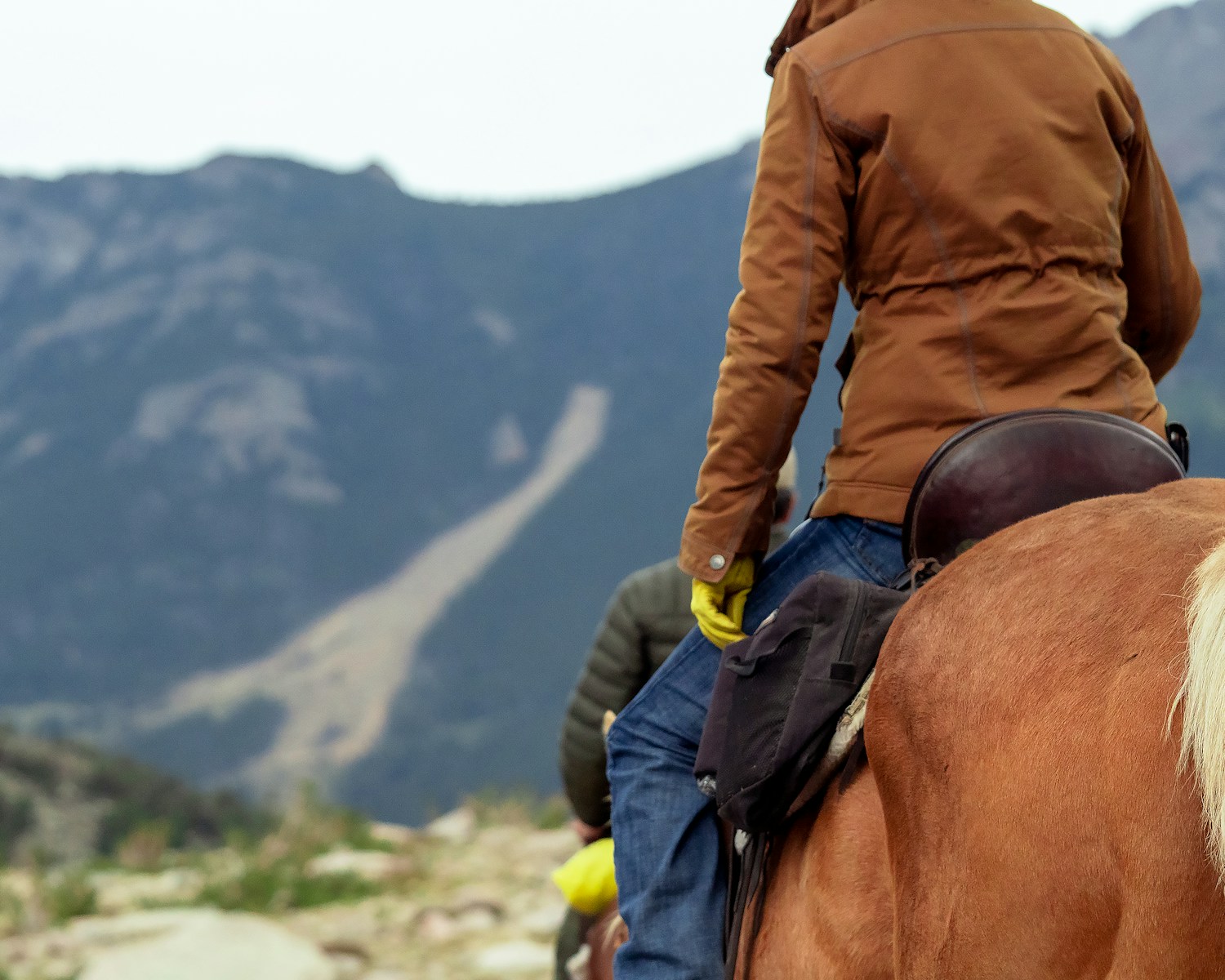 A person riding a horse
