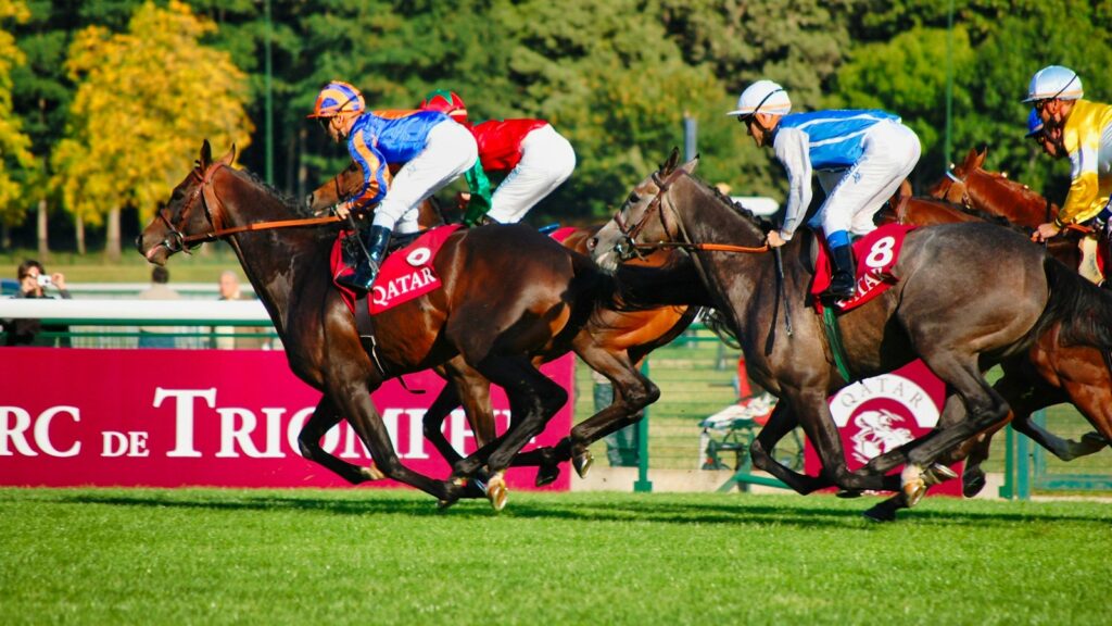 people riding horses on green grass field during daytime