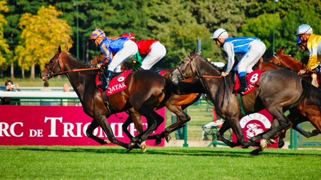 people riding horses on green grass field during daytime