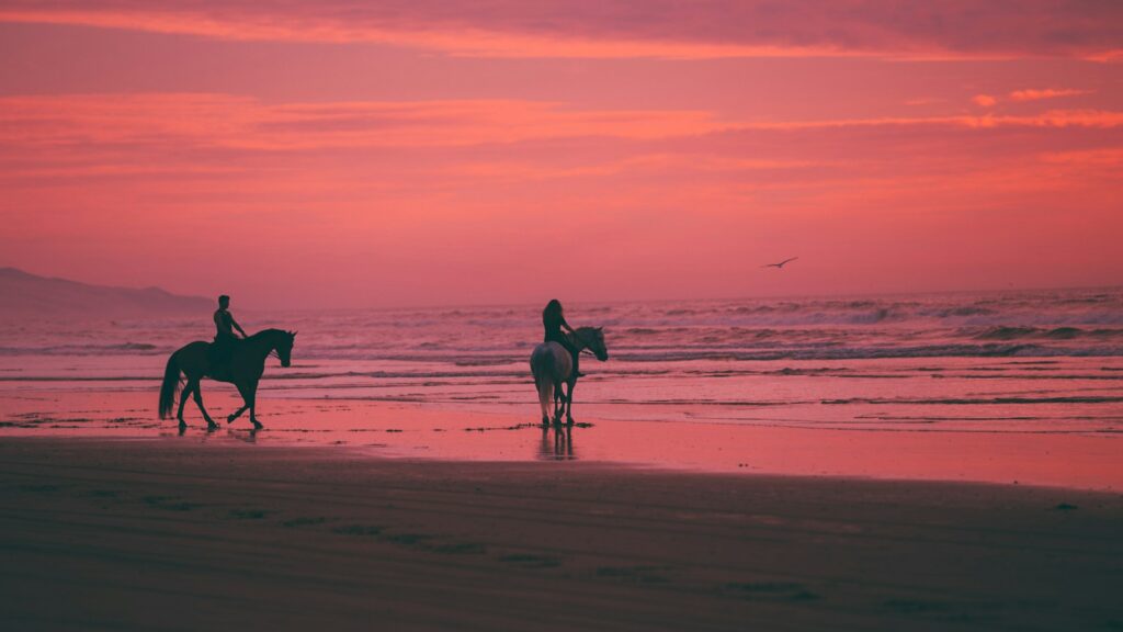 two person riding horses on seashore