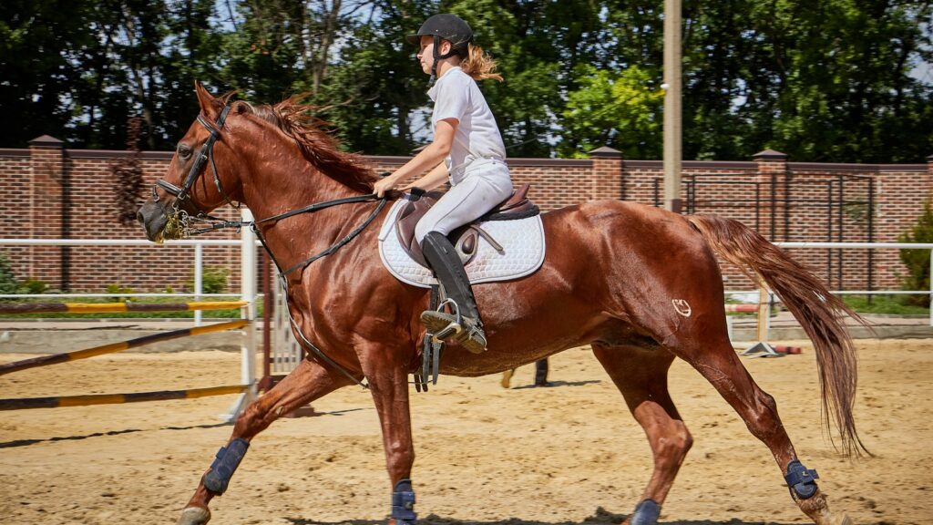 woman riding horse