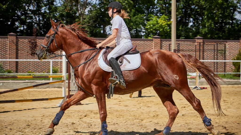 woman riding horse