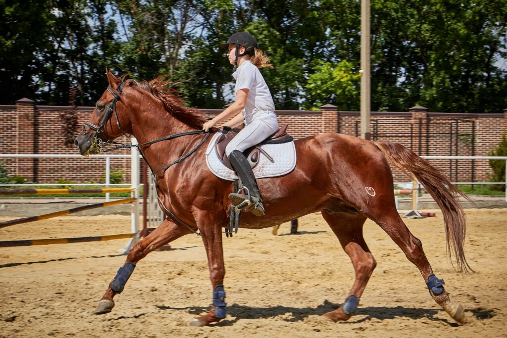 Woman riding horse