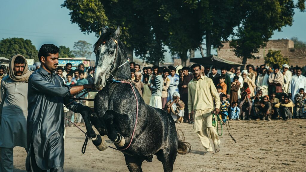 people riding horses on brown sand during daytime