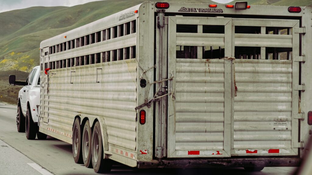 white bus on road during daytime