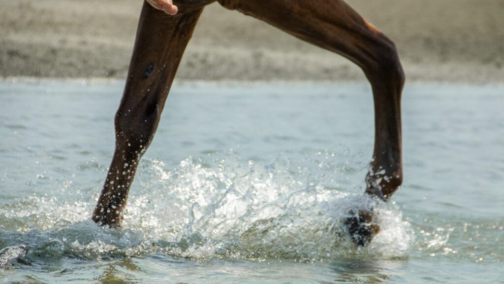 A person riding a surf board on a body of water