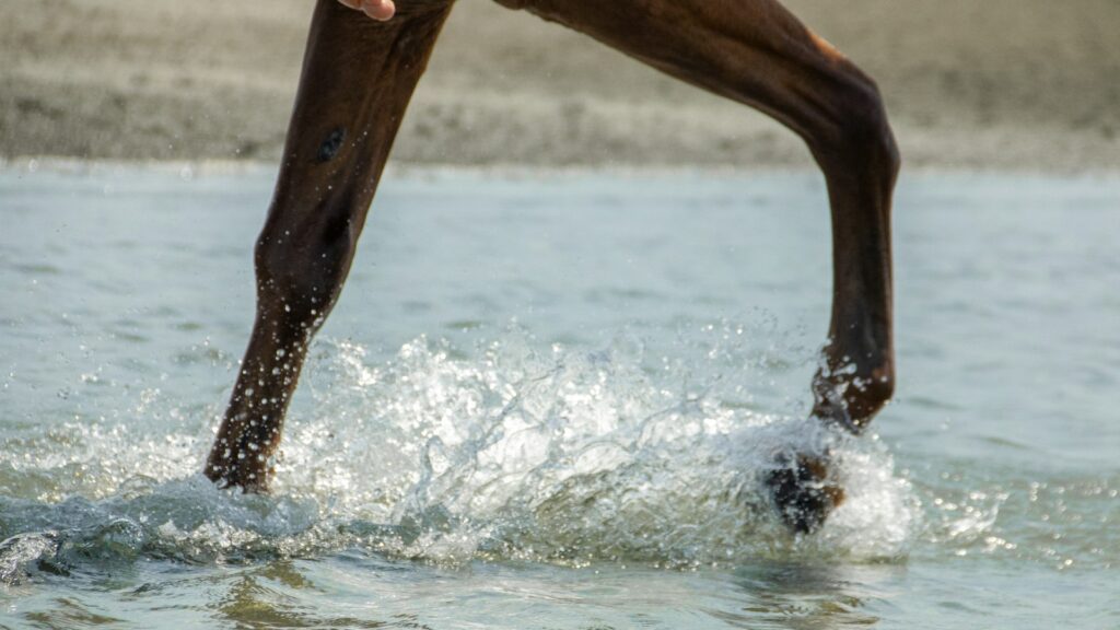 A person riding a surf board on a body of water