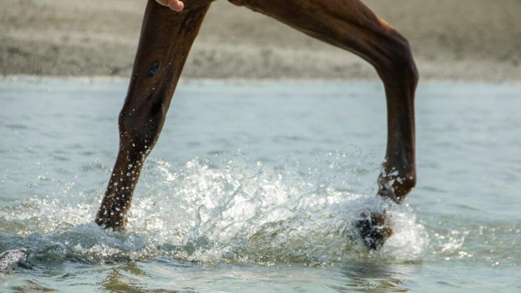 A person riding a surf board on a body of water