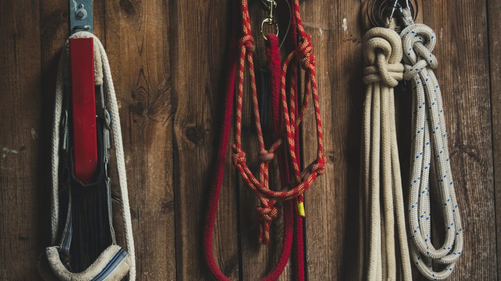 assorted ropes on hook