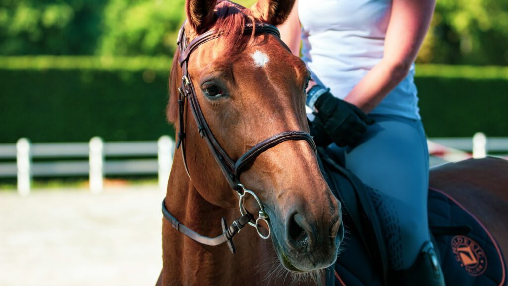 woman in white shirt standing beside brown horse during daytime