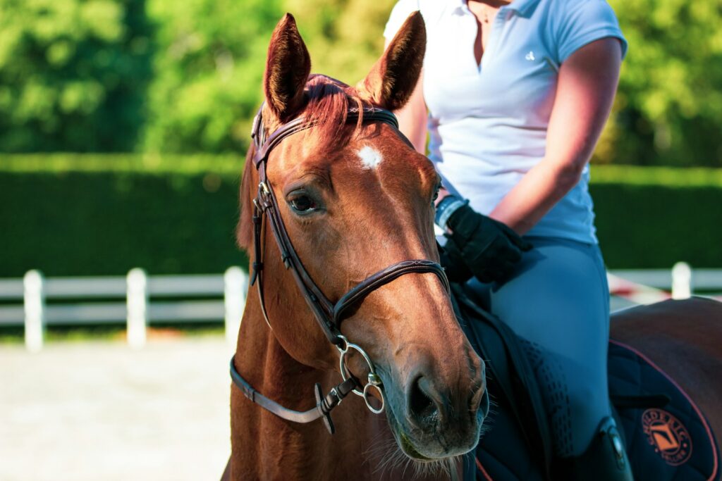 Woman in white shirt standing beside brown horse during daytime