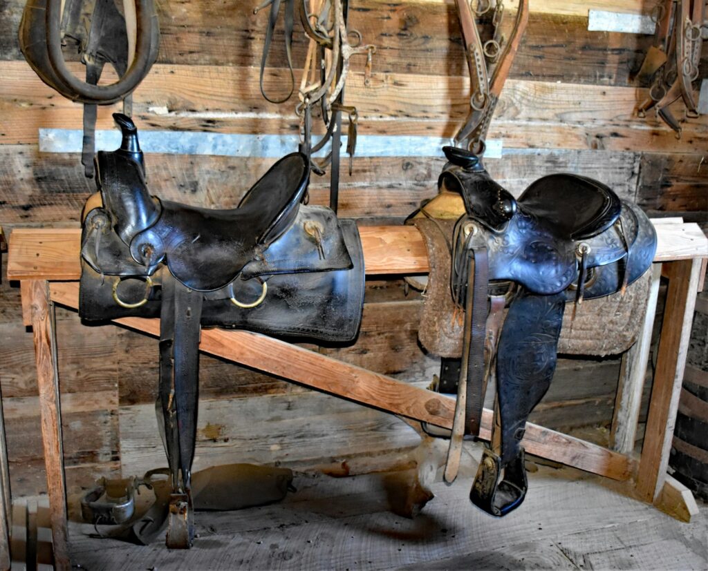 A couple of horse saddles sitting on top of a wooden bench