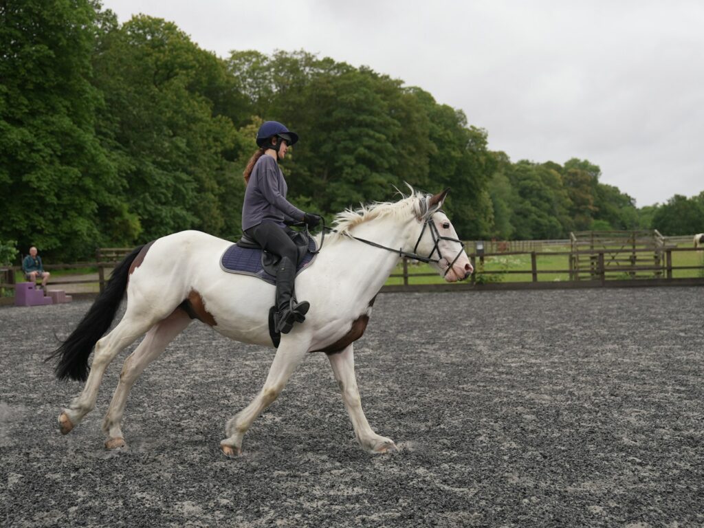 Woman riding on the back of a white horse