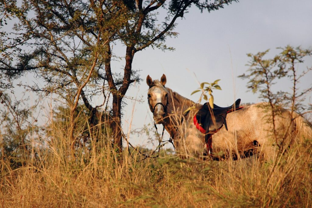 Brown horse beside tree