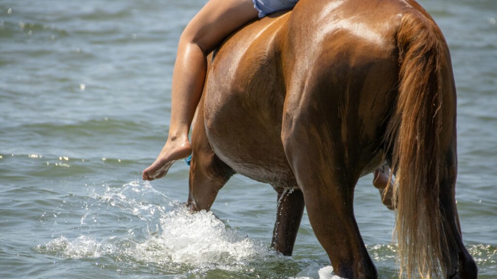 A woman riding on the back of a brown horse