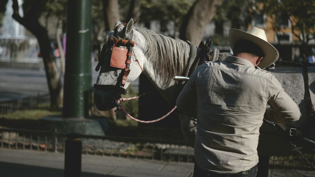 man wearing white dress shirt beside horse