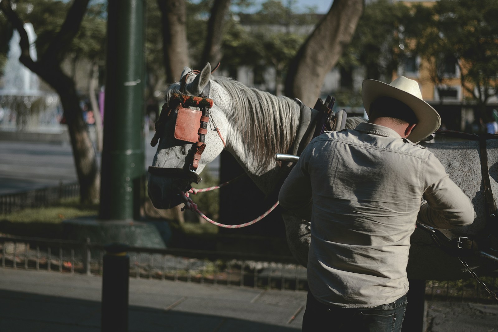 Man wearing white dress shirt beside horse