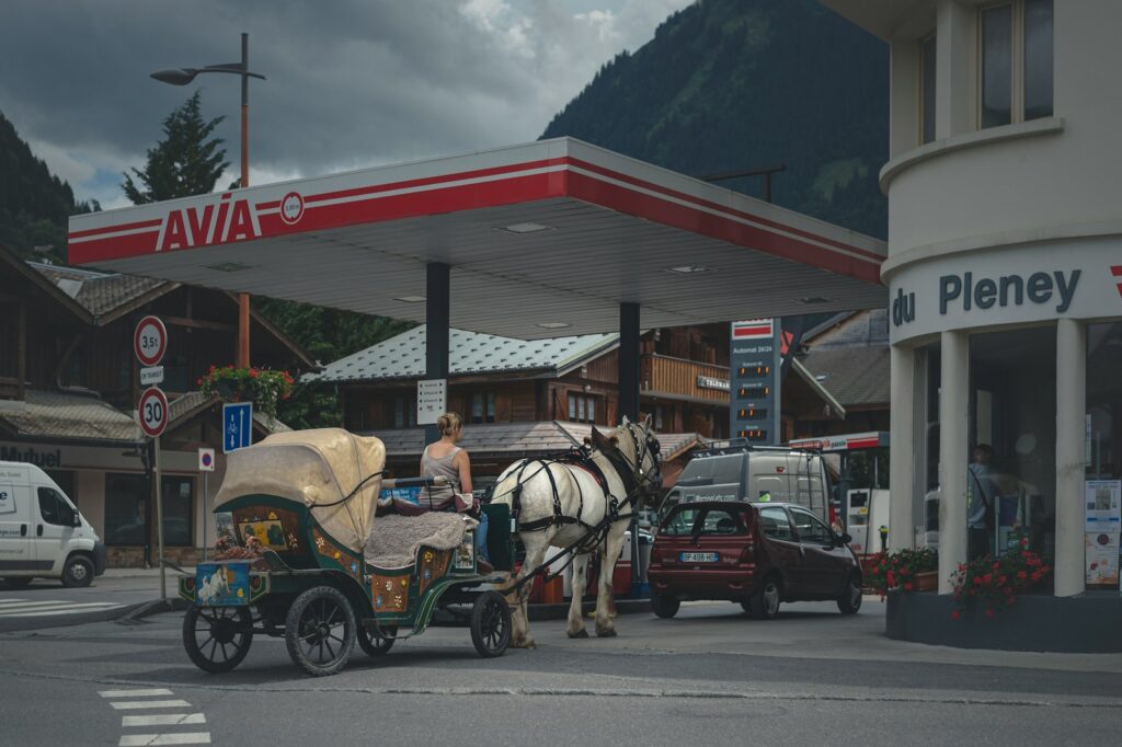 White horse with carriage on street during daytime