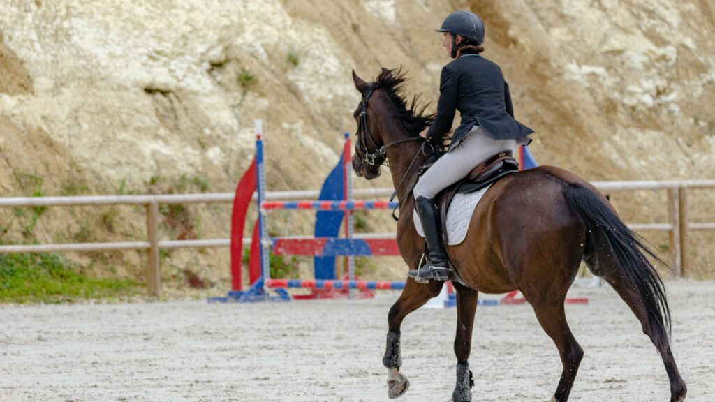 woman in black jacket riding brown horse during daytime