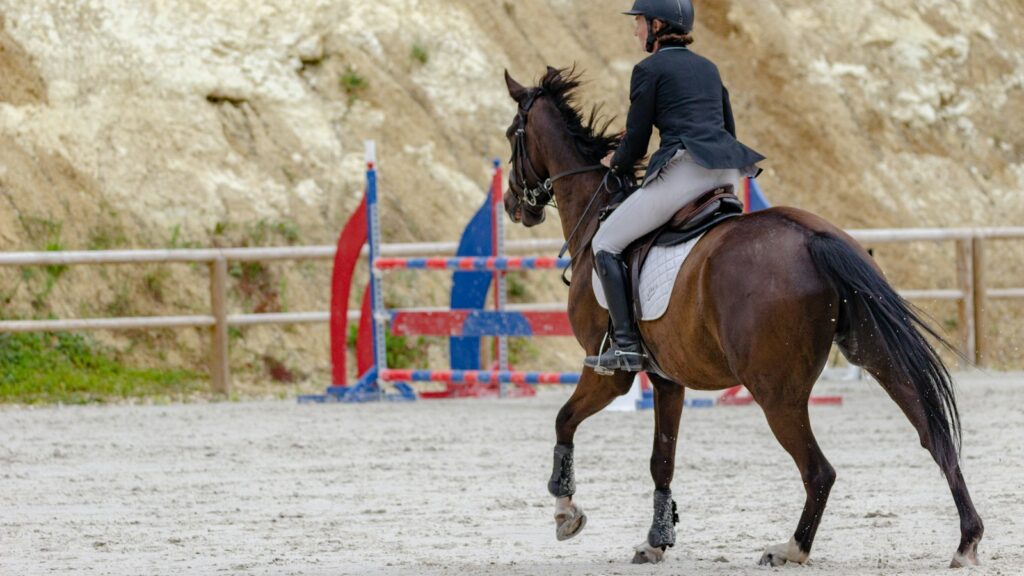 woman in black jacket riding brown horse during daytime