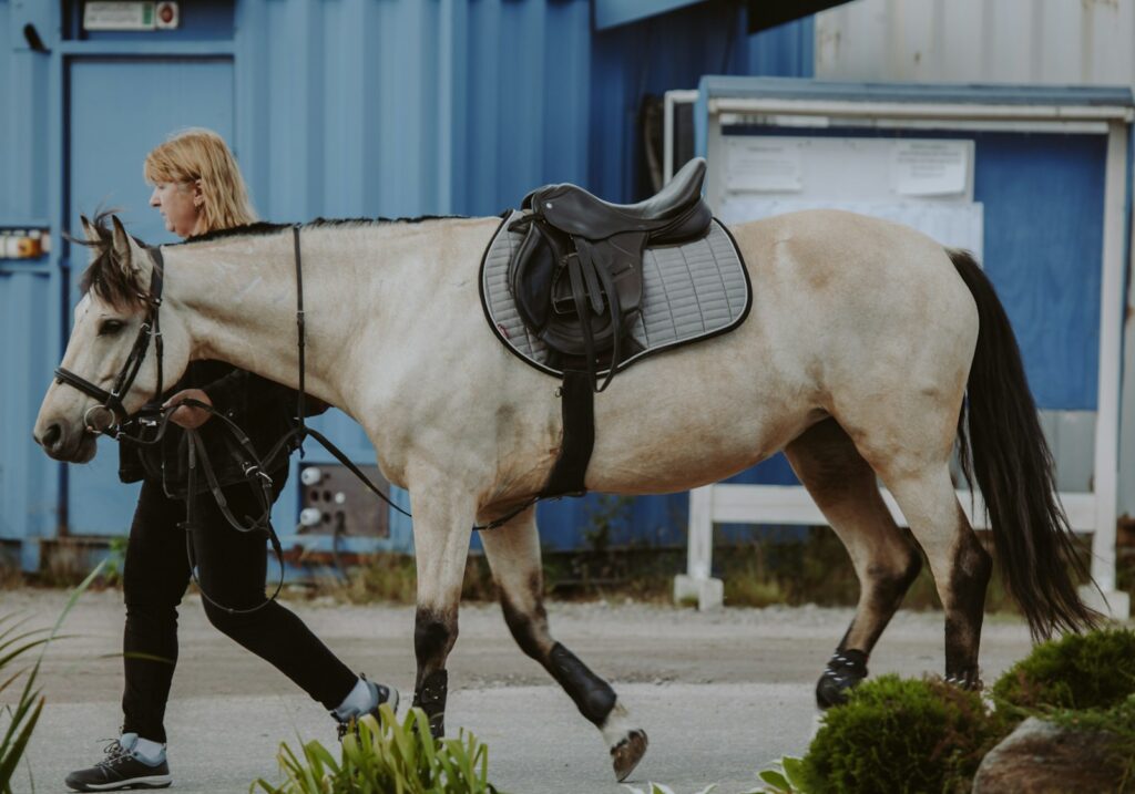 Woman in black leather jacket riding white horse during daytime