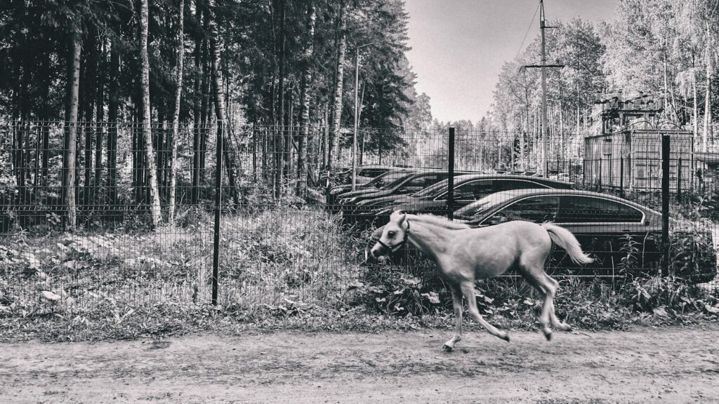 a horse running on a dirt road