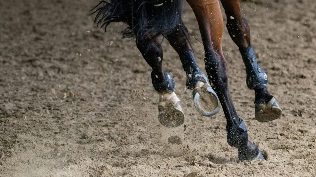 brown horse running on brown field during daytime