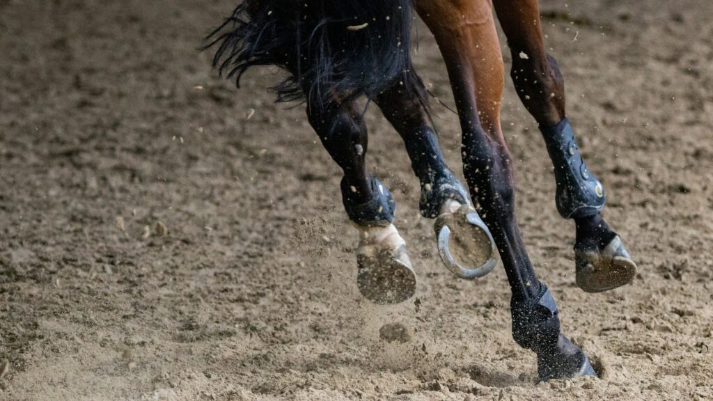 brown horse running on a brown field during daytime