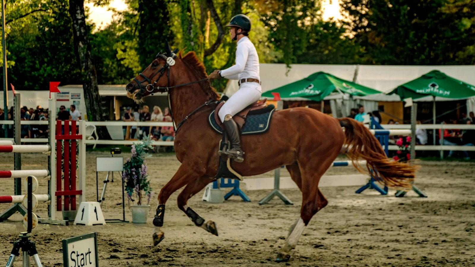 A horse and rider compete in an equestrian event.