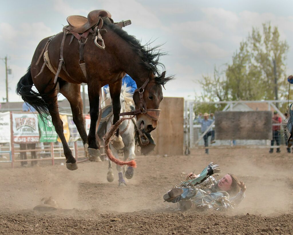 Brown horse bucking on brown sand during daytime