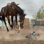 Brown horse bucking on brown sand during daytime