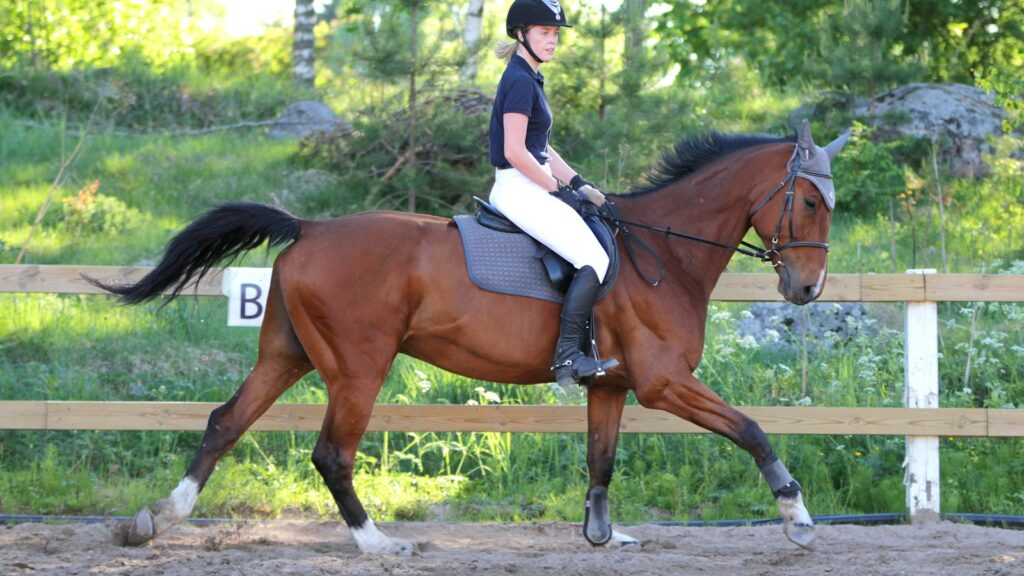 woman in blue shirt riding brown horse during daytime