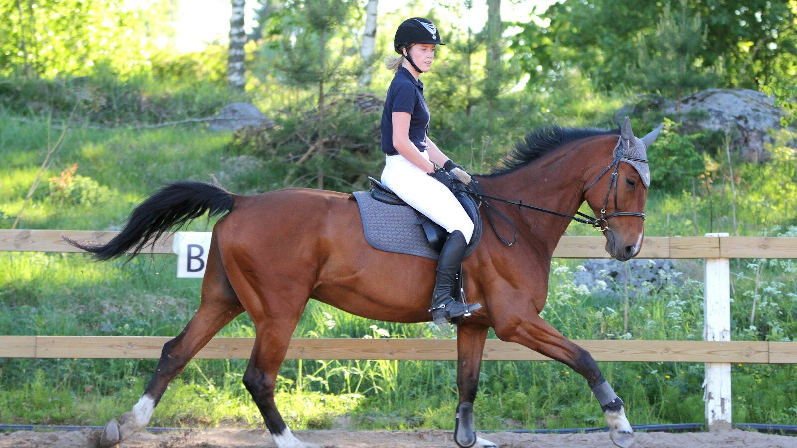 woman in blue shirt riding brown horse during daytime