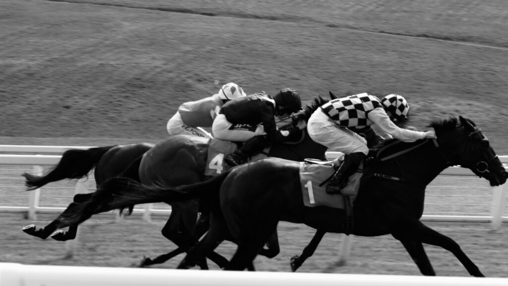 a group of people riding on the backs of horses
