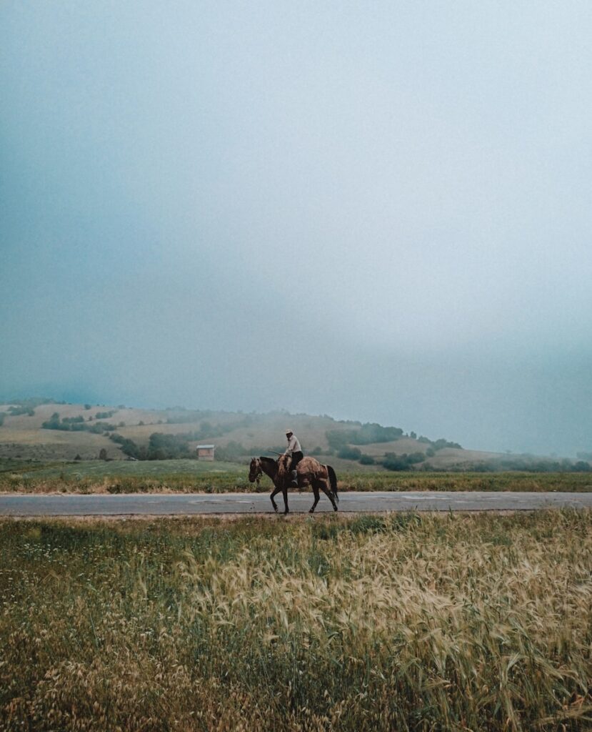 Man riding horse on green grass field during daytime