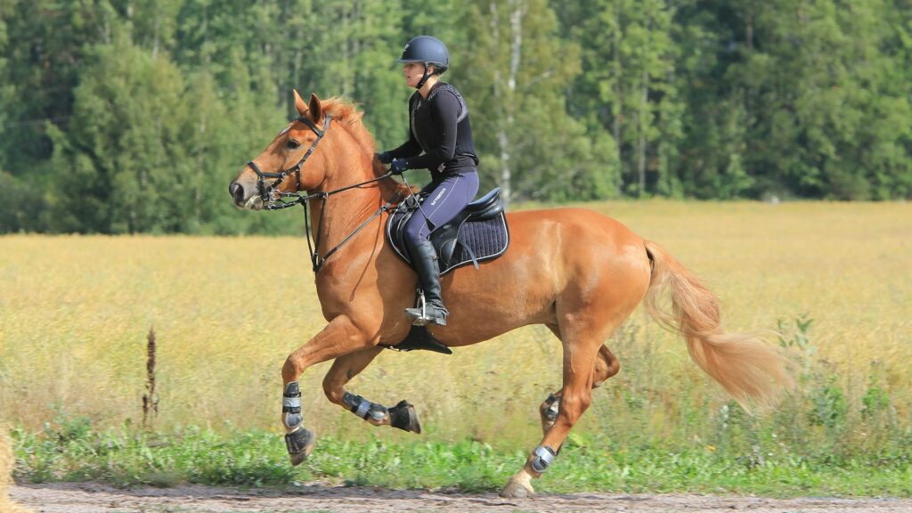 woman in black leather jacket riding brown horse during daytime