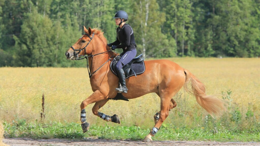 woman in black leather jacket riding brown horse during daytime