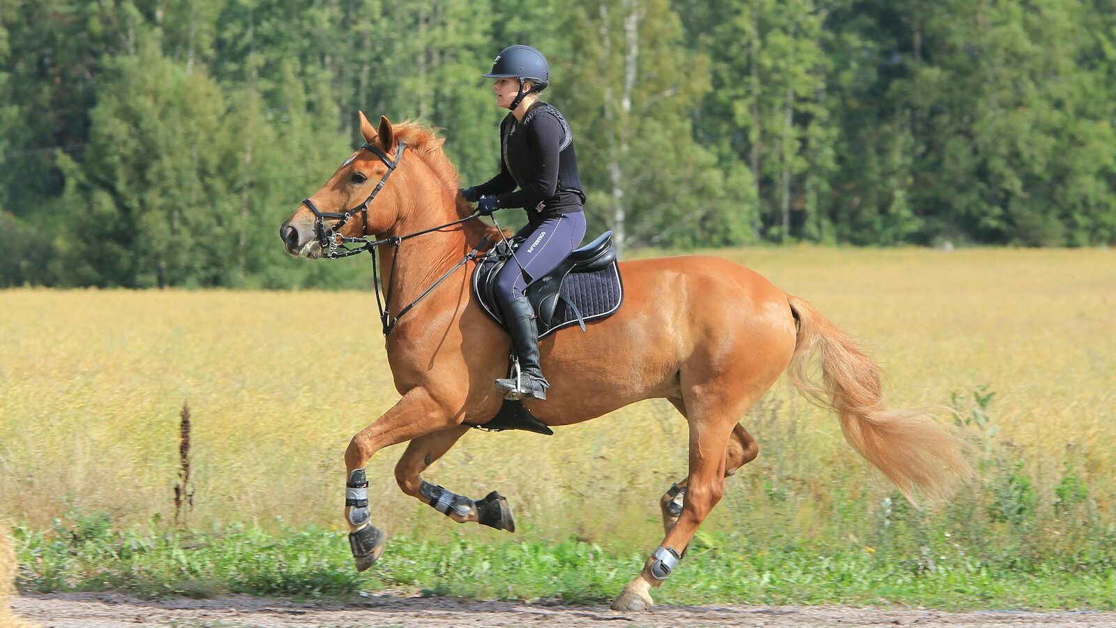 woman in black leather jacket riding brown horse during daytime