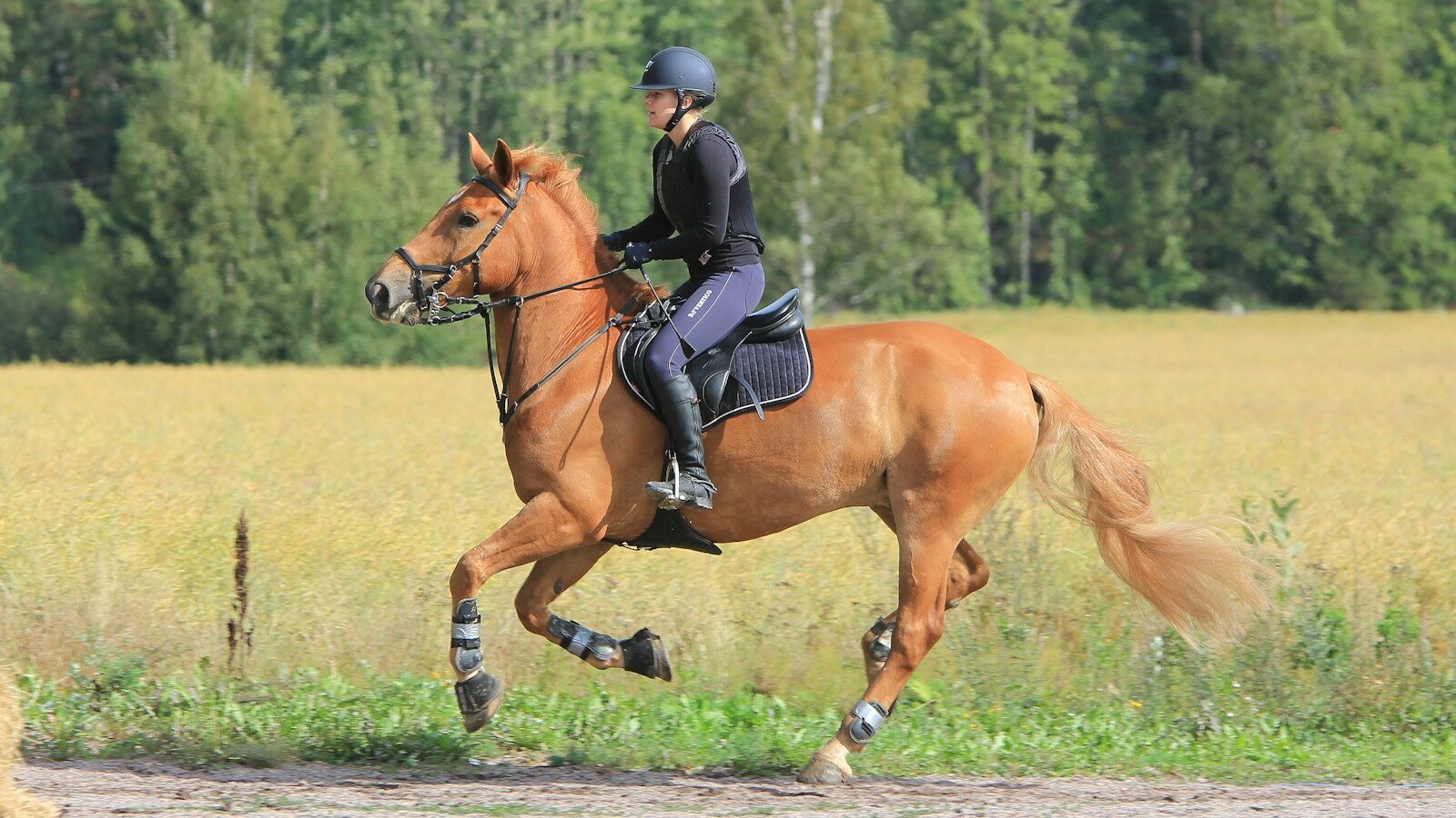 woman in black leather jacket riding brown horse during daytime