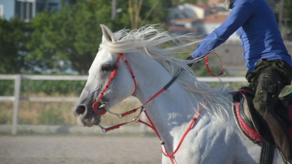 a man riding on the back of a white horse