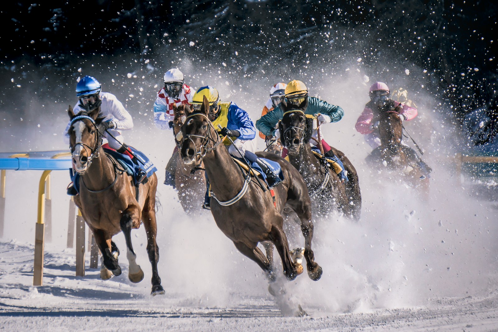 A group of men riding on the backs of horses
